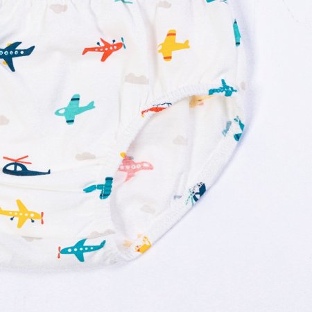 플린남아브리프