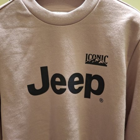 빅지프 아이코닉 맨투맨