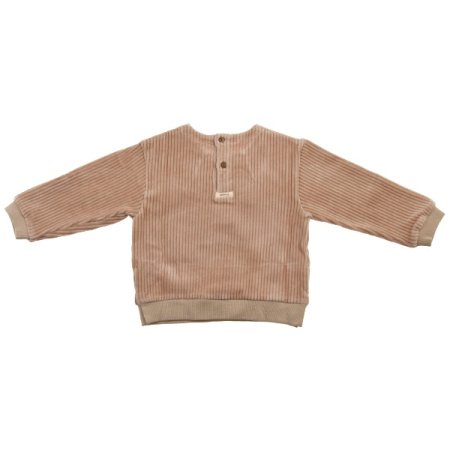 젤리골벨로아티셔츠