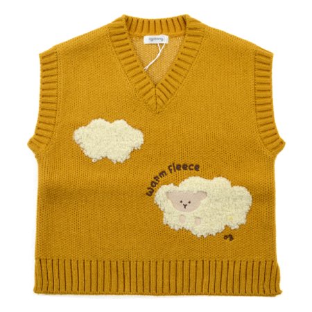 레오블랑니트조끼