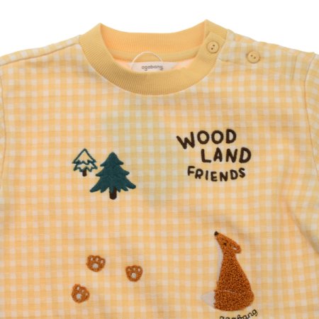 리온포쉐체크상하