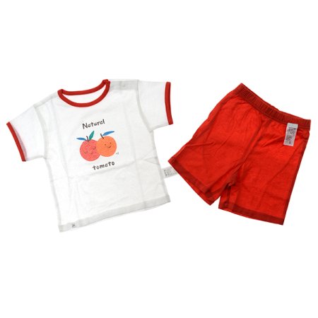 토토스반소상하