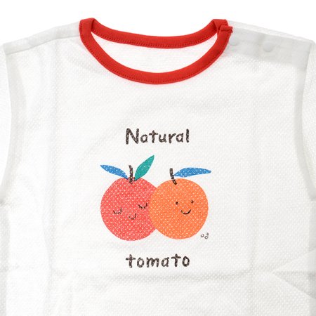 토토스반소상하