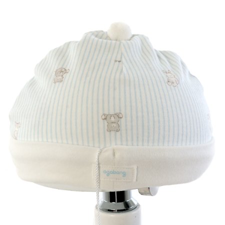 로디징코신생모