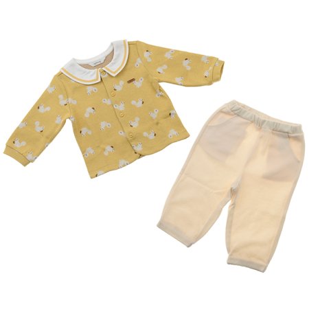 지니다람쥐오픈상하