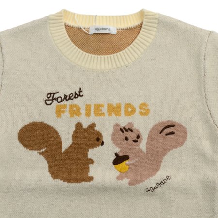 클린다람쥐스웨터