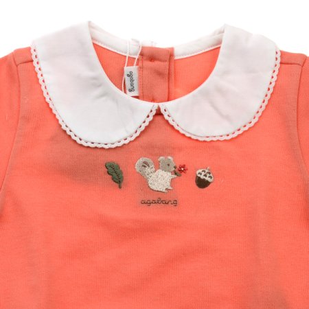 미나다람쥐카라상하