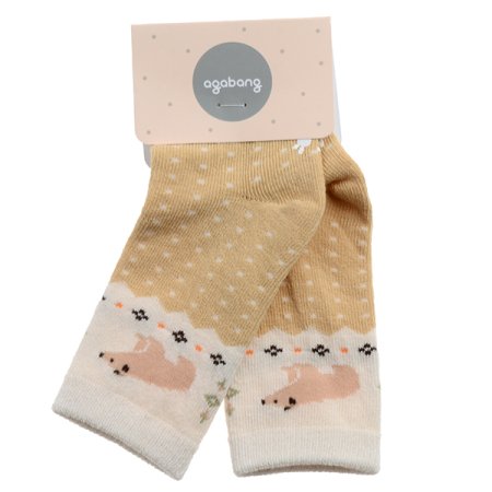 호크노르딕중말