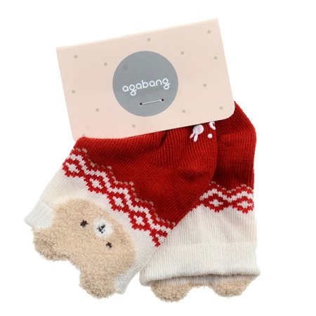 코타홀리베어단말