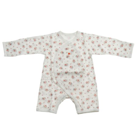 로메르모달배내우주