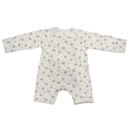 로메르모달배내우주