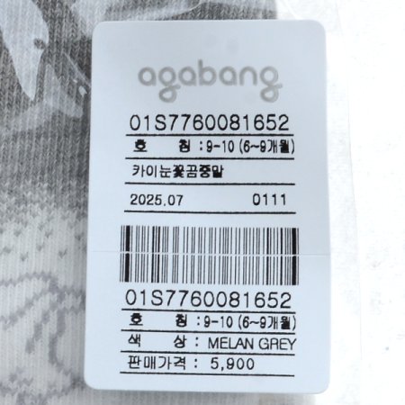 카이눈꽃곰중말