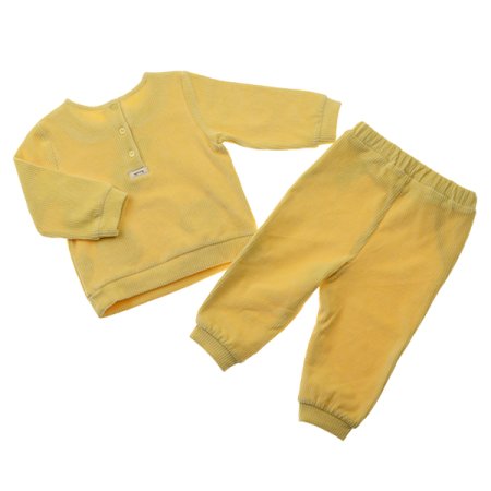 델리골벨로아상하