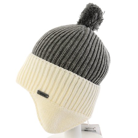 카이니트비니모