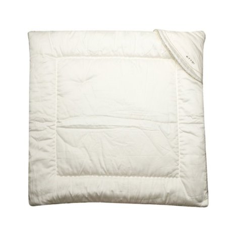 안달루시안겉싸보