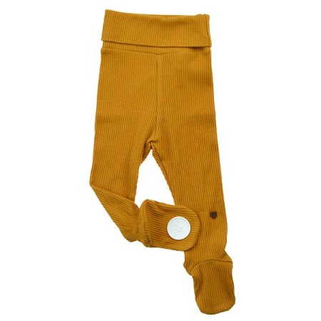 모르레깅스하의