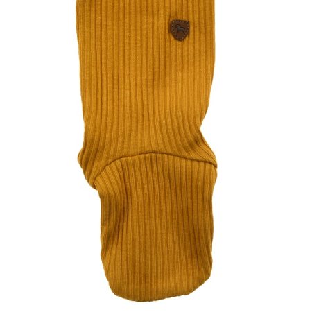 모르레깅스하의