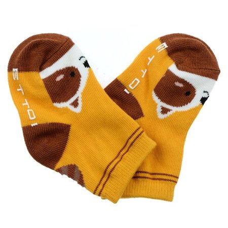 모르너구리양말