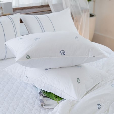 샤론 누빔베게커버대