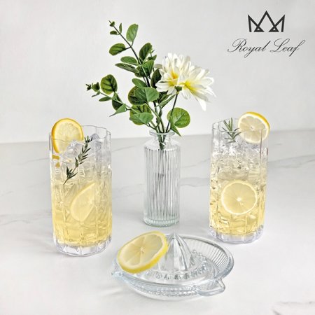 피오레 하이볼 맥주잔 시트러스 세트