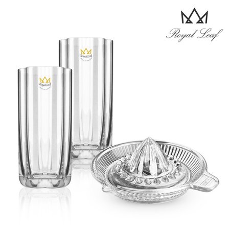 피오레 하이볼 맥주잔 시트러스 세트