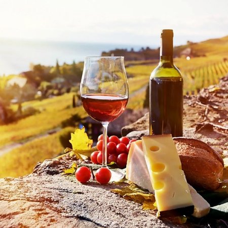 로얄리프 부르고뉴 그란데 크루 와인잔