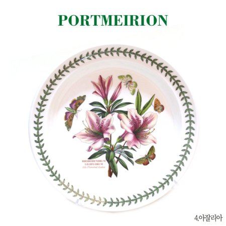 보타닉가든 접시A대 D형 1p