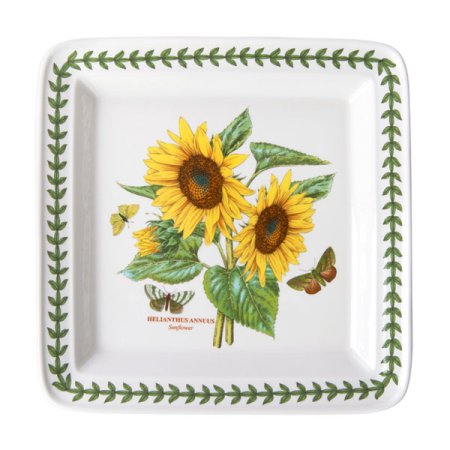 보타닉가든 스퀘어 플레이트대 D