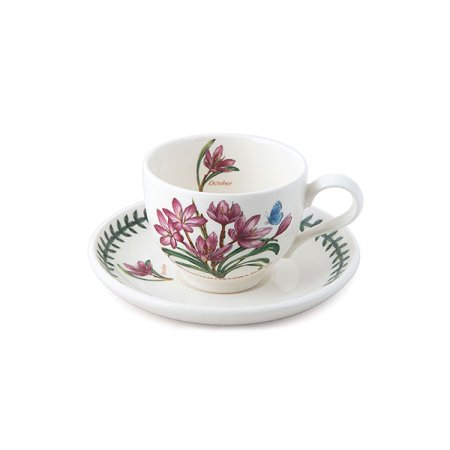 뉴보타닉가든 12개월 커피잔T형