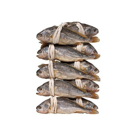 영광굴비 보리굴비 대 19kg