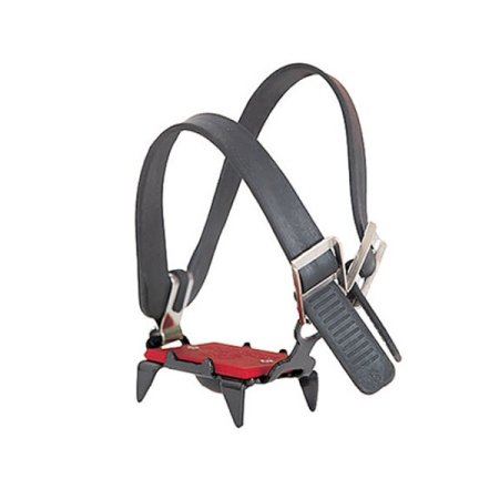 몰리 배꼽 아이젠