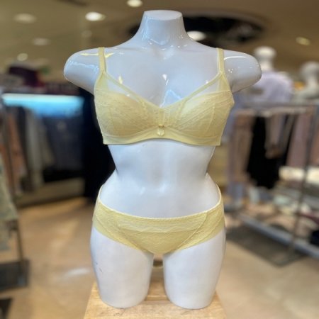 레이스 몰드 봄광고브라 햄팬티세트