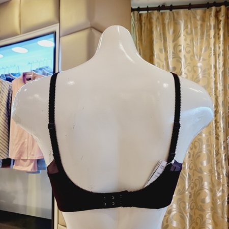 24AW 아뜰리에 서브브라 C컵 D컵