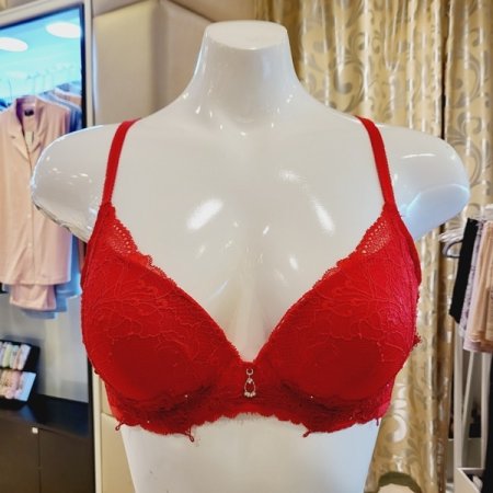 블랙라벨 레이스 감각 몰드브라