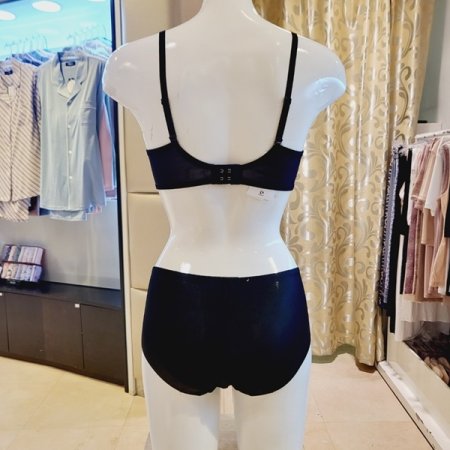 E컵 오르화 풀컵패드브라 헴팬티세트