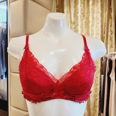 C컵D컵 레이스패드브라 헴팬티 세트