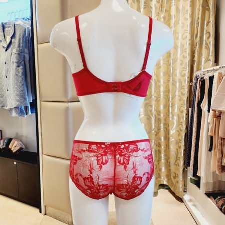 CD컵 오르화 패드브라 레이스팬티