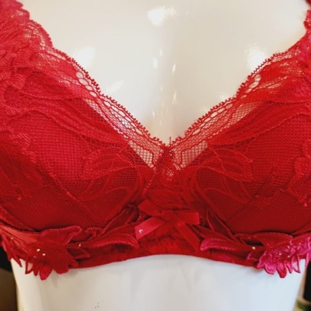 CD컵 오르화 패드브라 레이스팬티