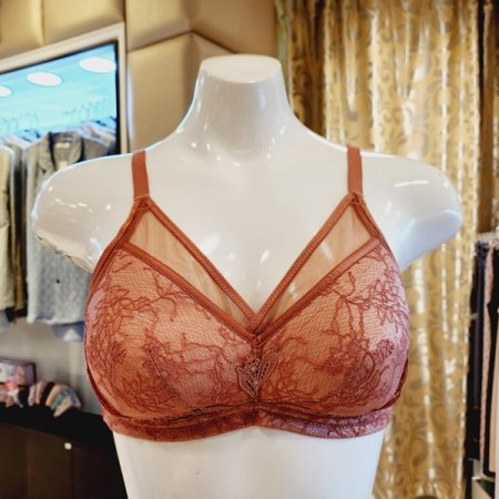 C컵 오르화 레이스 노와이어 패드브라