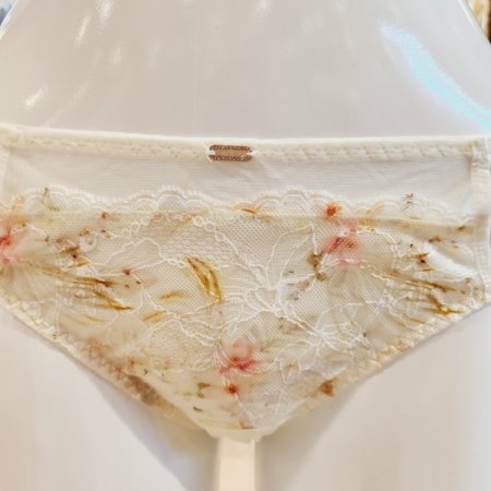 샤인블로썸 CD컵브라 레이스팬티세트