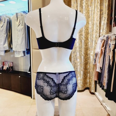 CD컵 오르화패드브라 레이스팬티세트