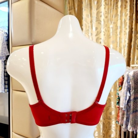 2택1 하이커버리지 몰드브라 AB컵