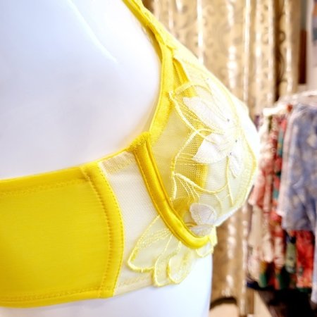 CD컵 보타닉엣지브라 헴팬티세트