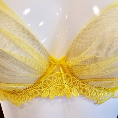 E컵 보타닉엣지브라 헴팬티세트