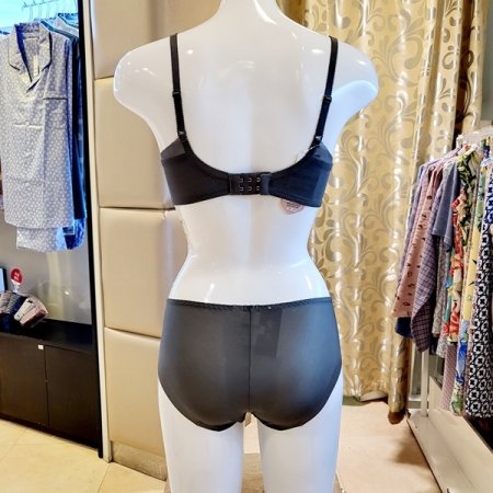 2택1 애쉬메모리브라헴팬티세트 EF컵