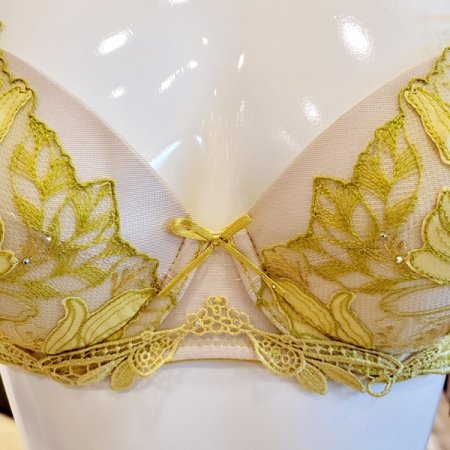 C컵D컵 패드브라 서포트팬티세트