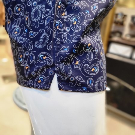 엔틱 페이즐리나염 트렁크