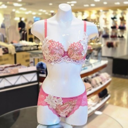 SPC컵 샬루트 브라팬티세트