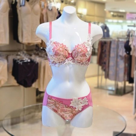 SP샬루트 브라햄팬티세트