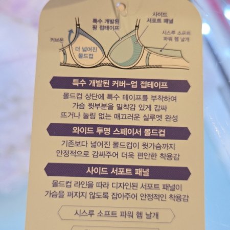 BKCD와이드컵 스키노 몰드브라